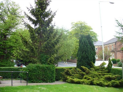Harewood Lodge Guest House Darlington  Eksteriør billede